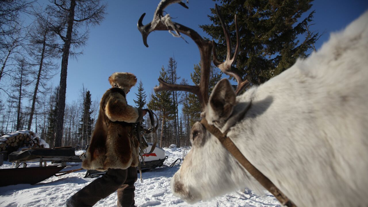 Чешский путешественник: Россия - это другая планета | 23.01.2022, ИноСМИ