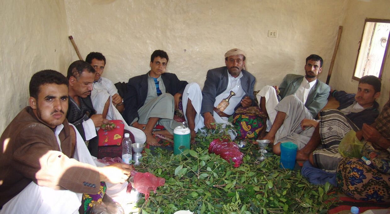 Йеменцы жуют кат