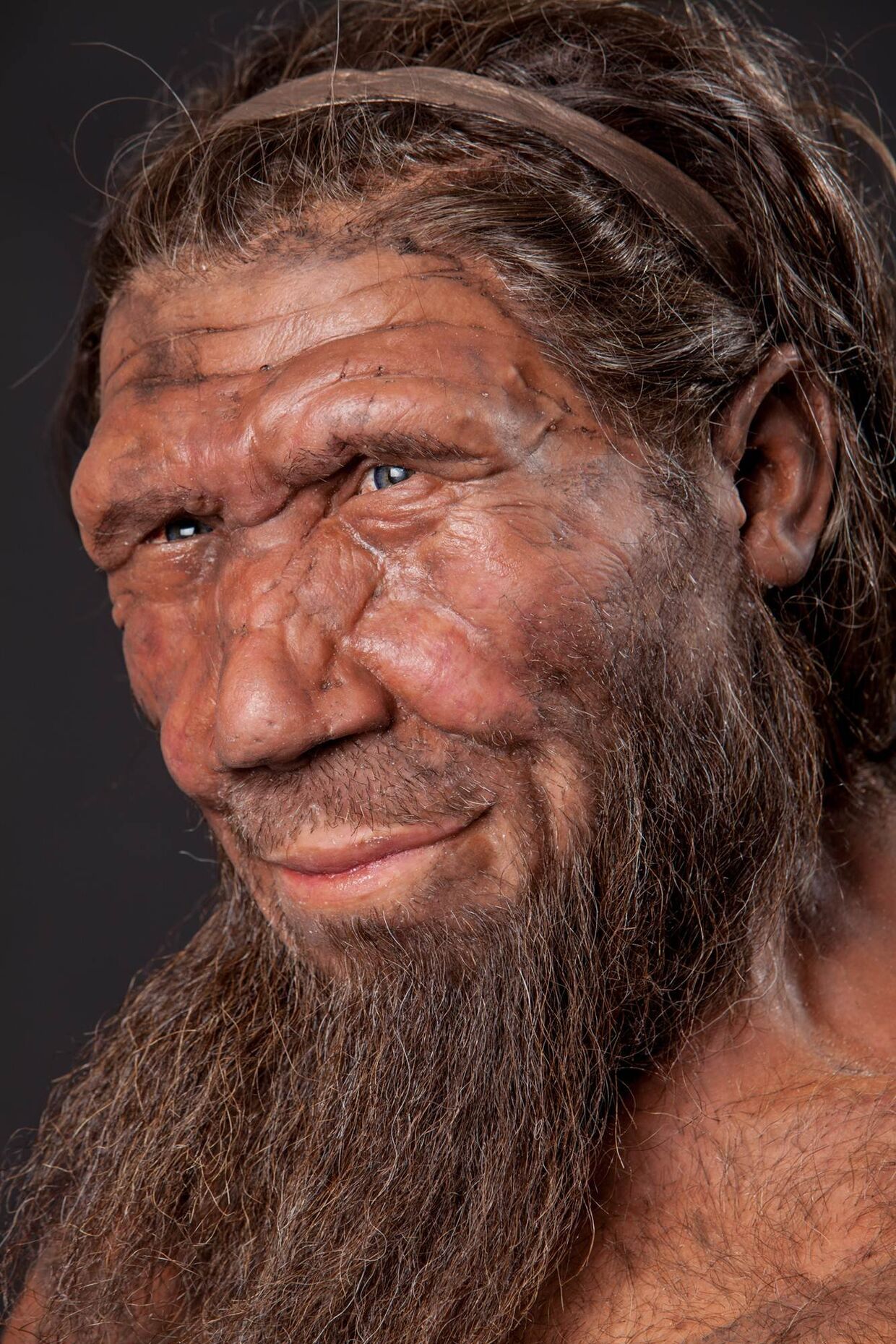 Модель неандертальца