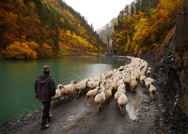 Пастухи гор Тушетии