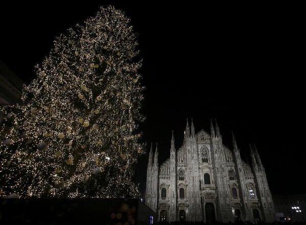 Рождественская елка на площади Дуомо в Милане