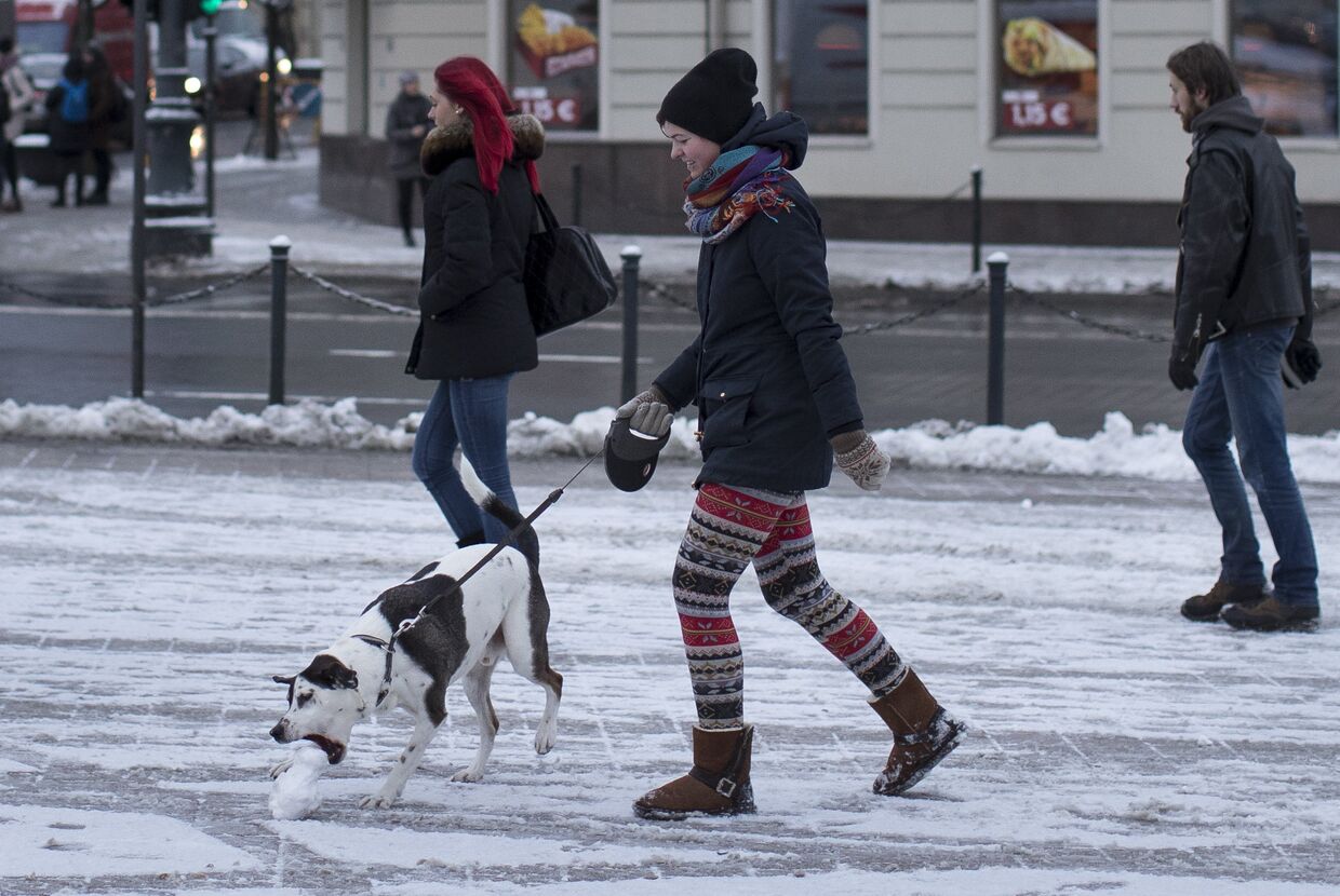 Собака играет со снежком в Вильнюсе, Литва