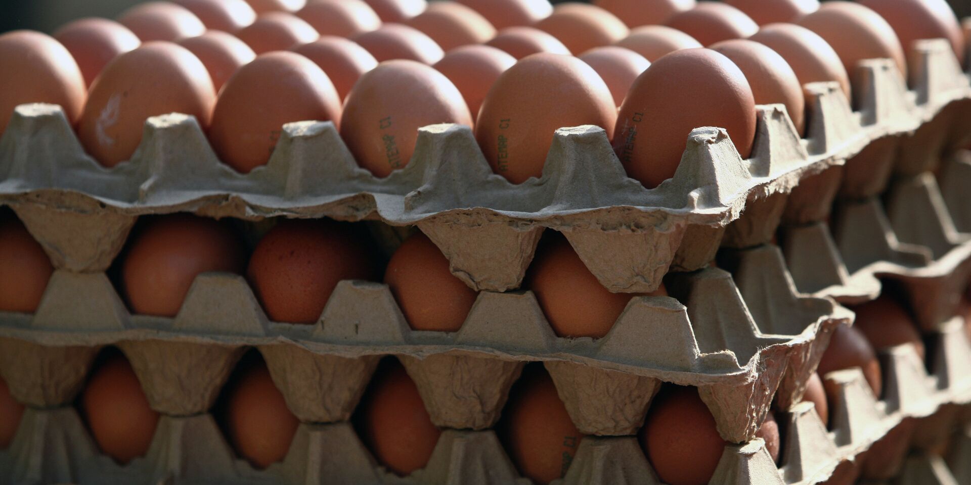 Продовольственная ярмарка в Саранске - ИноСМИ, 1920, 01.02.2026