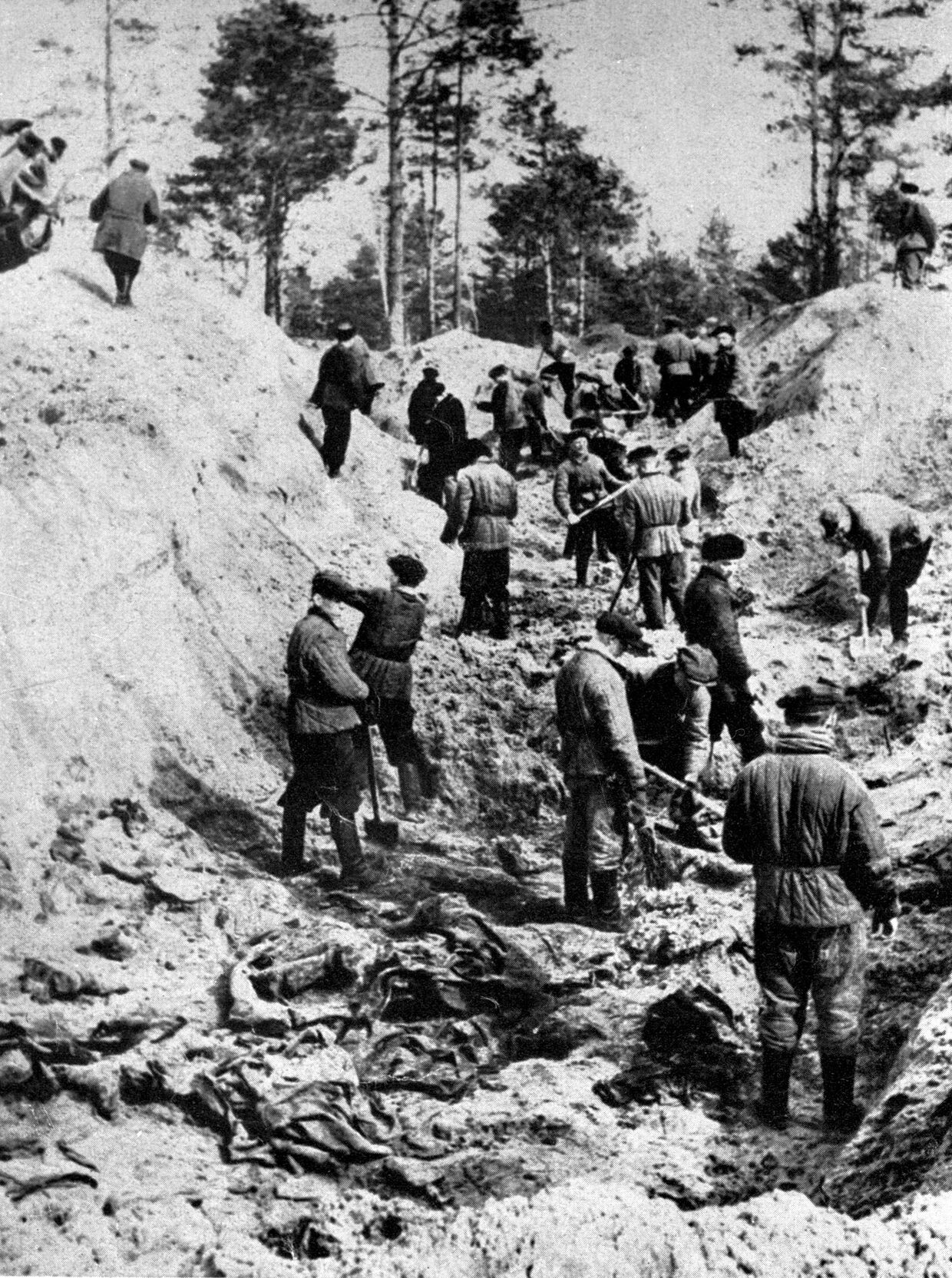 Раскопки захоронения жертв Катынского расстрела, 1943
