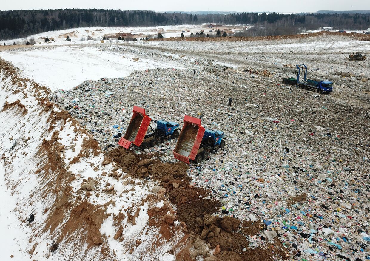 Сотрудники полигона твердых бытовых отходов Ядрово в Московской области засыпают грунтом площадку полигона для нейтрализации неприятных запахов