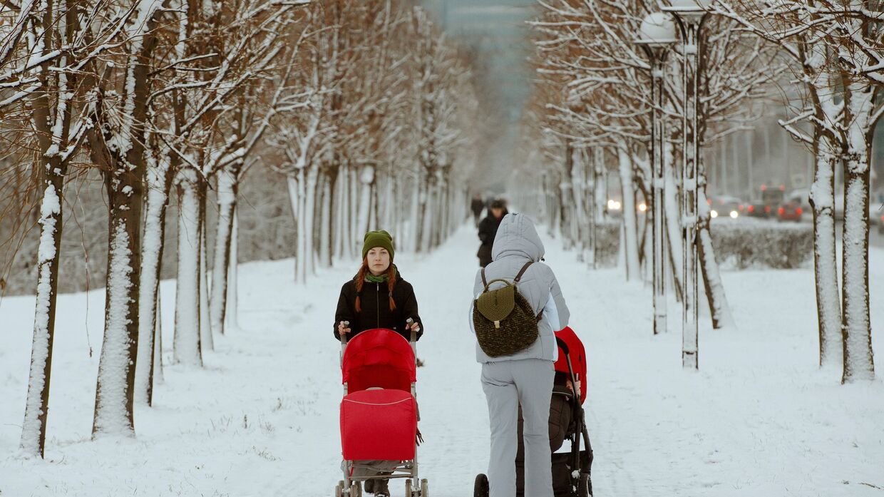 Женщины с колясками гуляют в Юнтоловском заказнике в Санкт-Петербурге