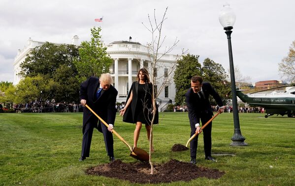 Президент США Дональд Трамп, президент Франции Эммануэль Макрон сажают дуб на лужайке Белого дома в Вашингтоне