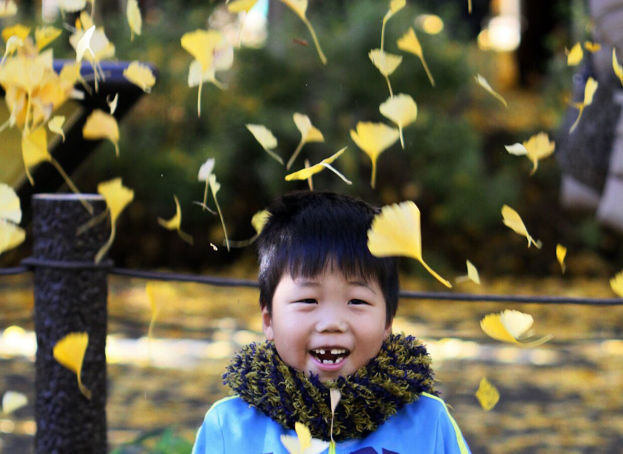 Мальчик играет с осенними листями в Токио