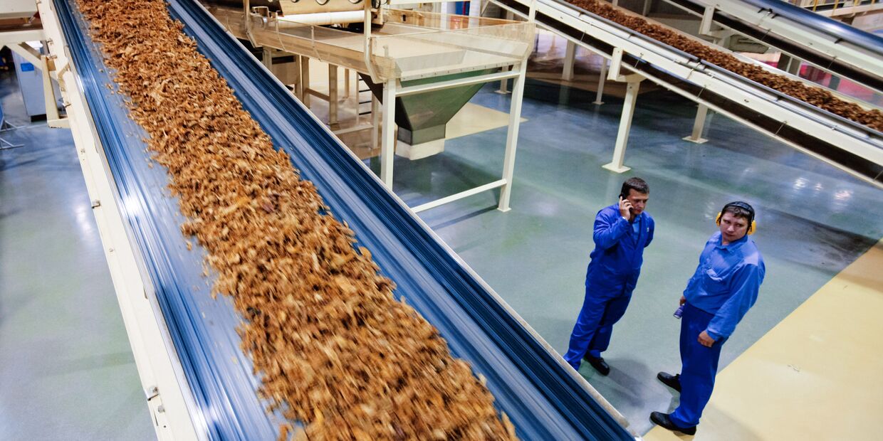 Табачный цех на фабрике Филип Моррис Ижора