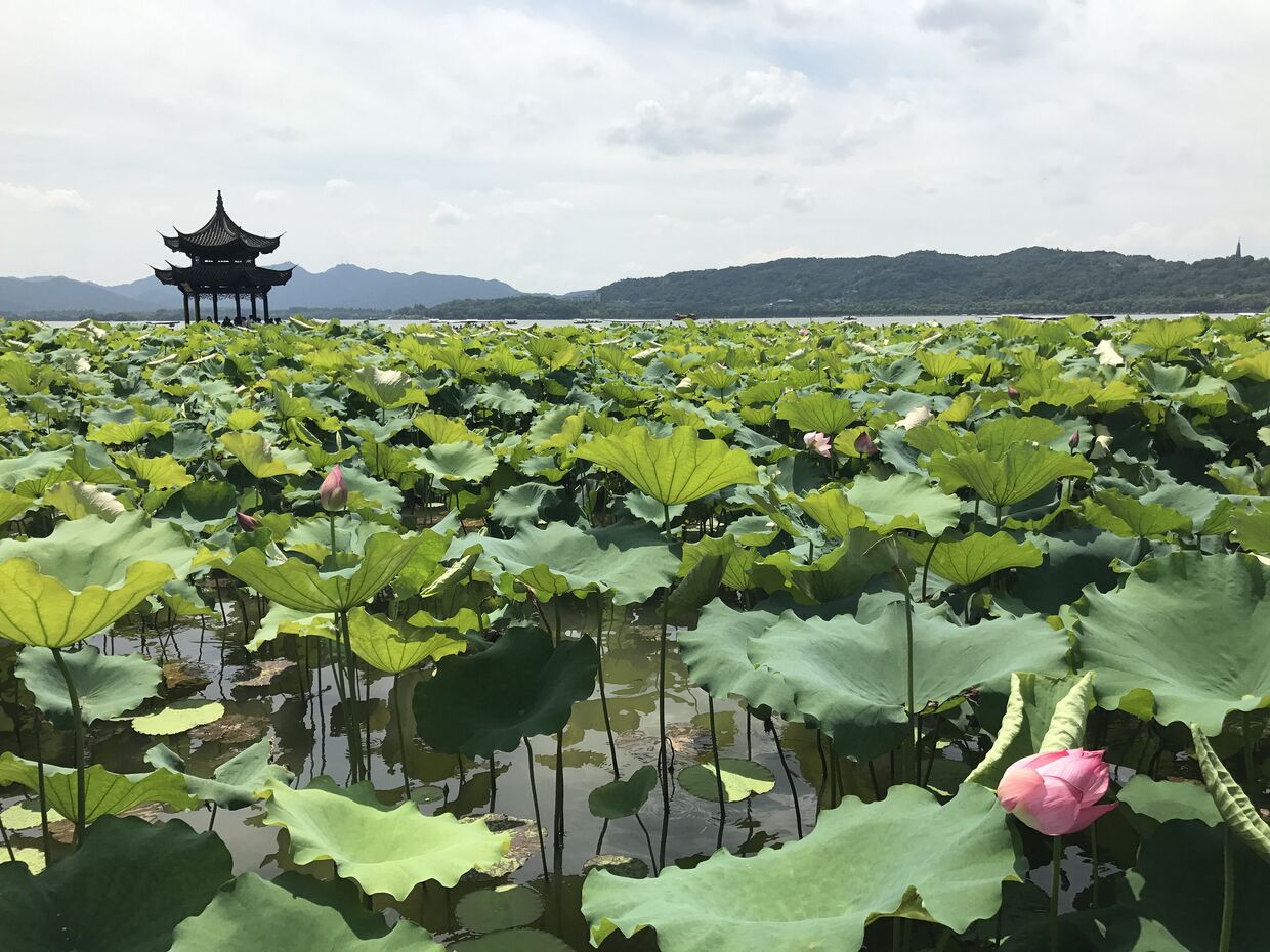 Озеро Сиху в китайском городе Ханчжоу