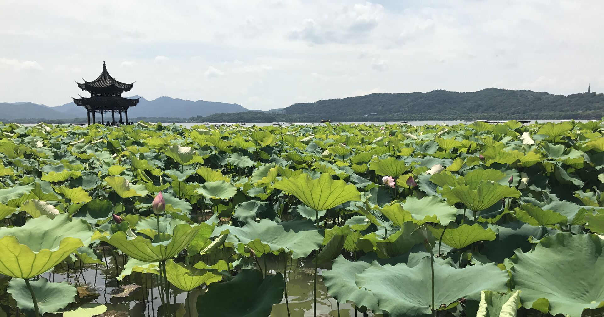 Озеро Сиху в китайском городе Ханчжоу - ИноСМИ, 1920, 25.07.2021