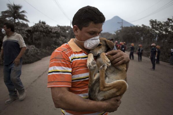 Местный житель и его собака спасаются от извержения вулкана в Гватемале