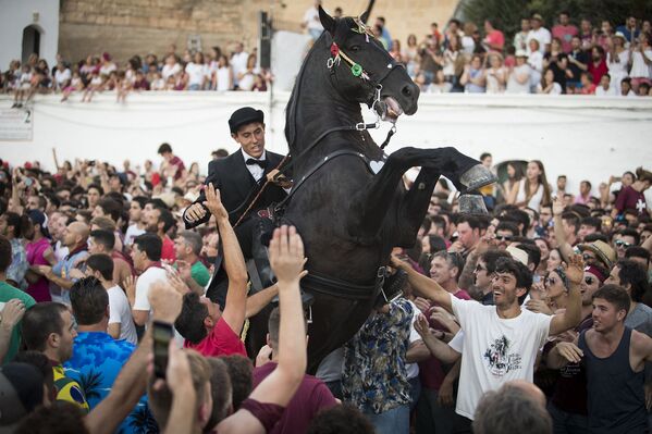 Лошадь во время традиционного фестиваля Сан-Хуан