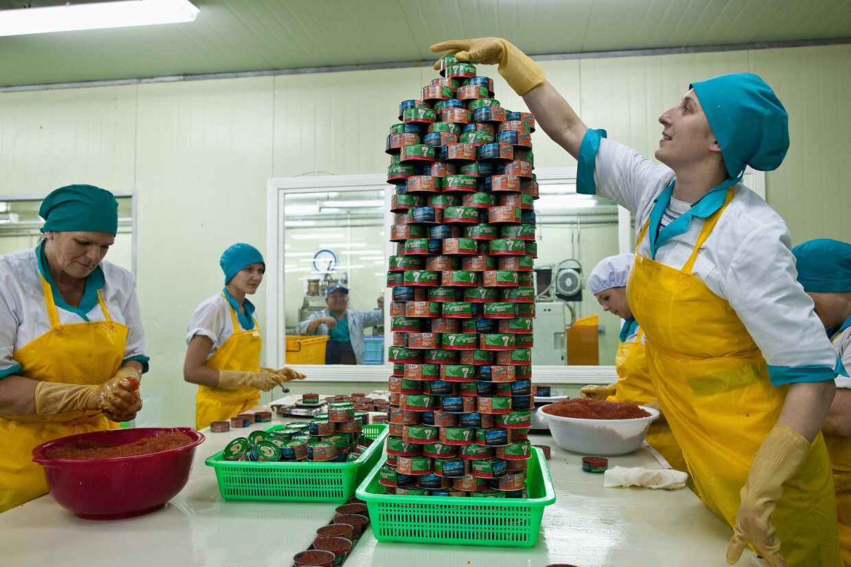 Работники рыбокомбината упаковывают икру на острове Итуруп, Россия
