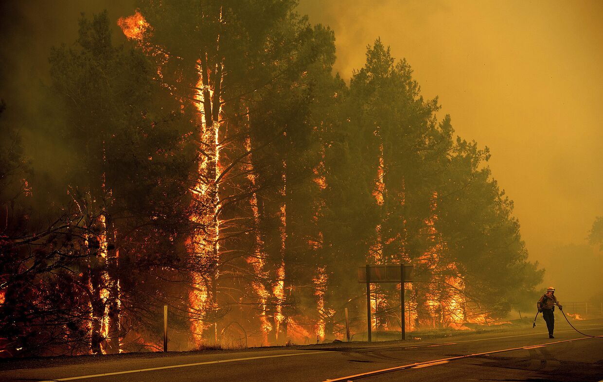Пожарный борется с лесным пожаром в Калифорнии