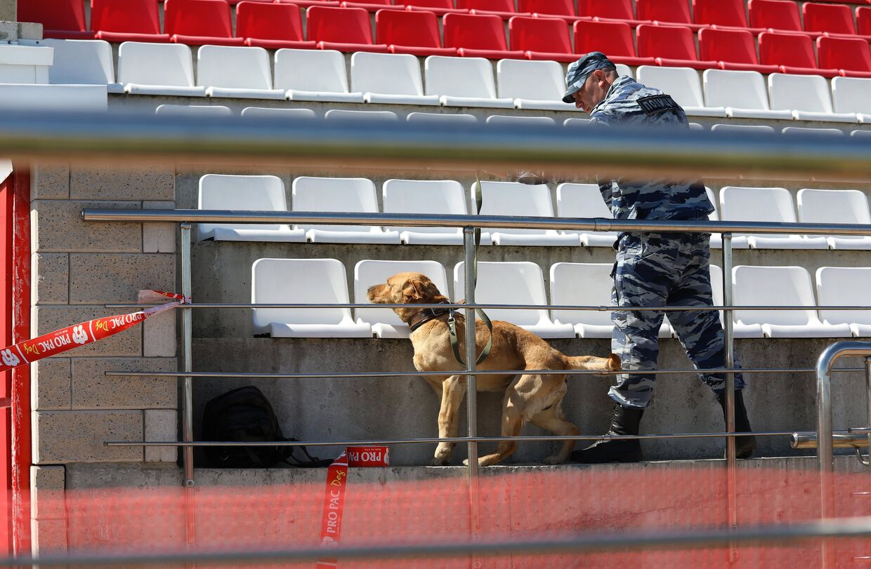 Кинолог со служебной собакой осматривают стадион