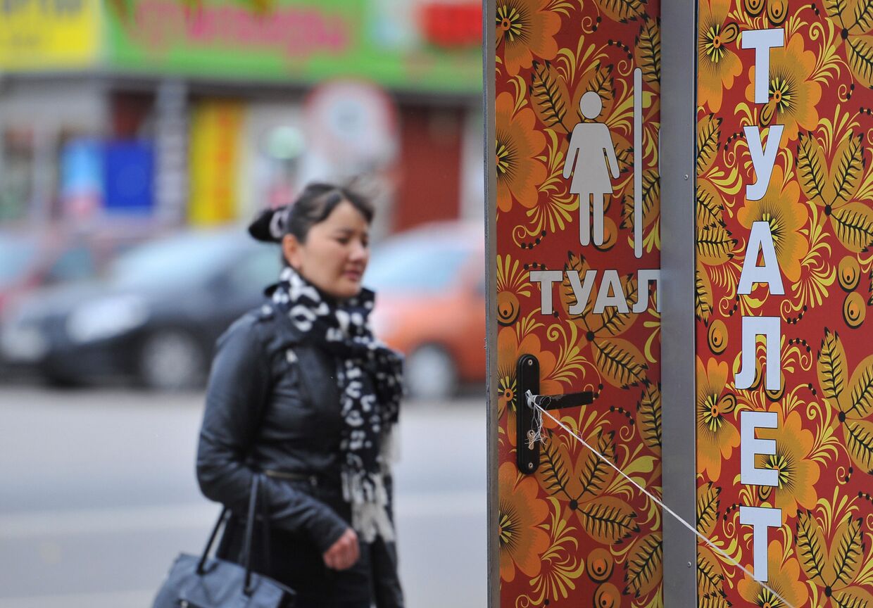 В Москве появились общественные туалеты, расписанные под хохлому
