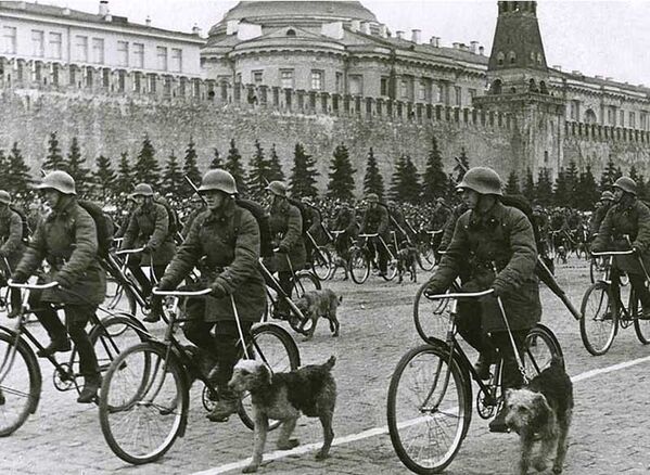 Советские противотанковые собаки
