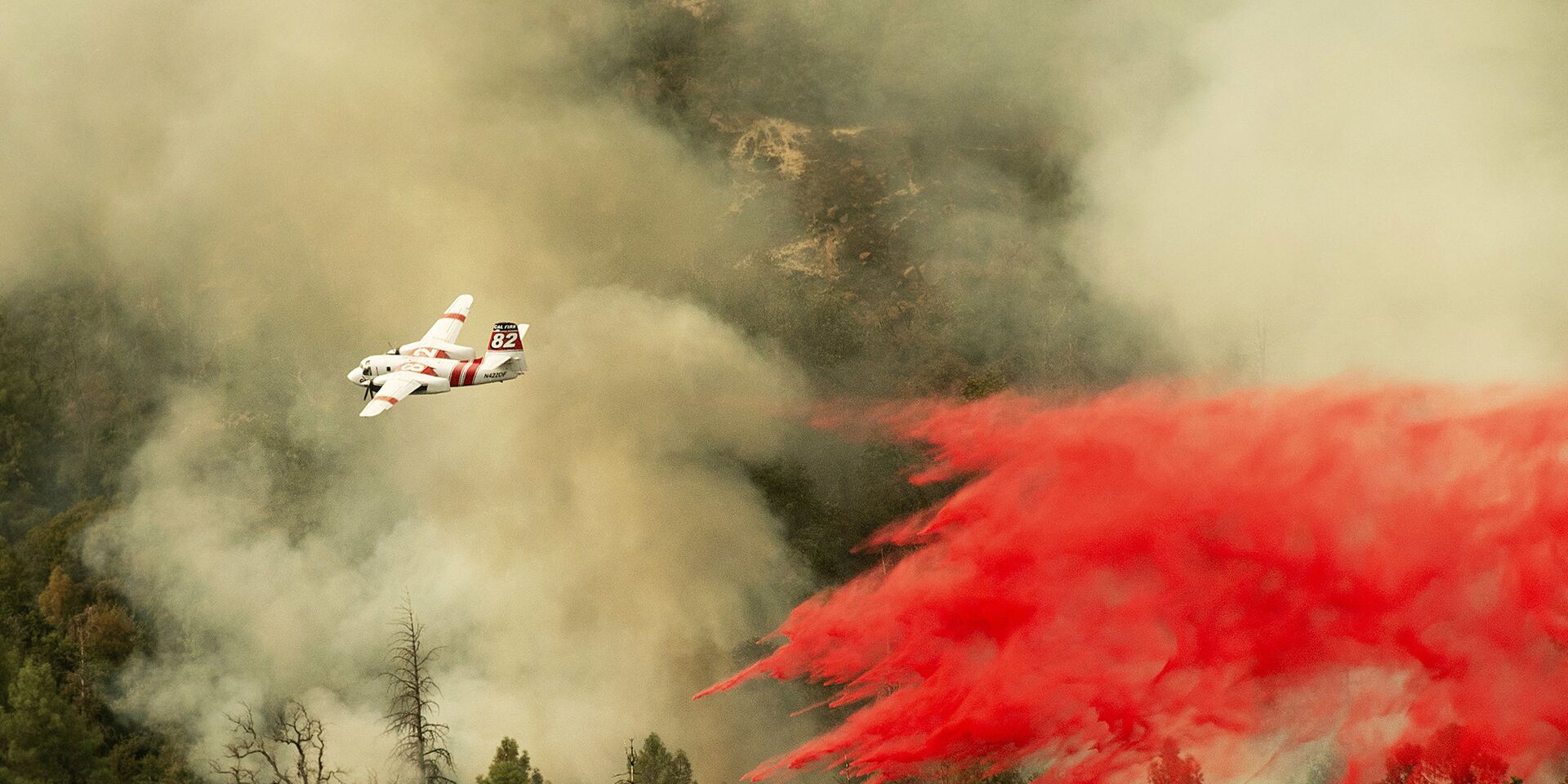 Тушение лесных пожаров в Калифорнии, США - ИноСМИ, 1920, 25.07.2023