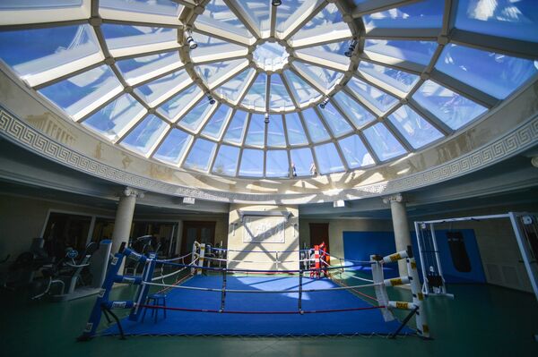 Боксерский ринг и тренажерный зал на территории резиденции Виктора Януковича в Украине Боксерский ринг и тренажерный зал на территории резиденции Виктора Януковича в Украине