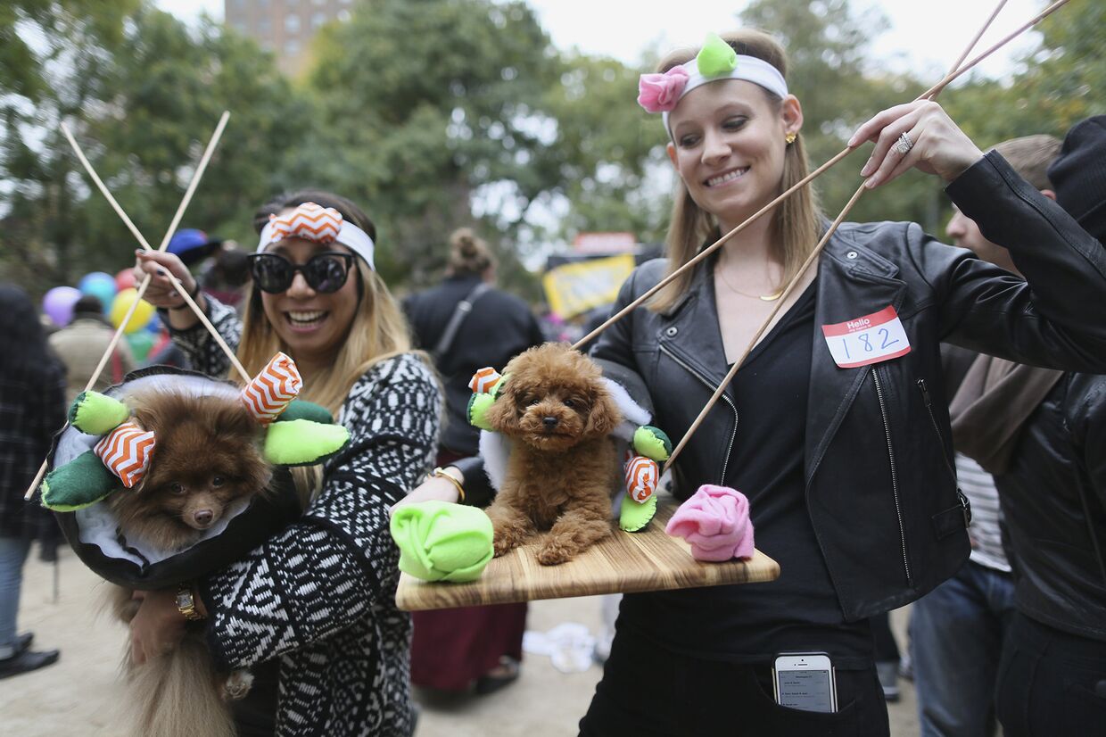 Собачий парад в честь Хэллоуина в Нью-Йорке