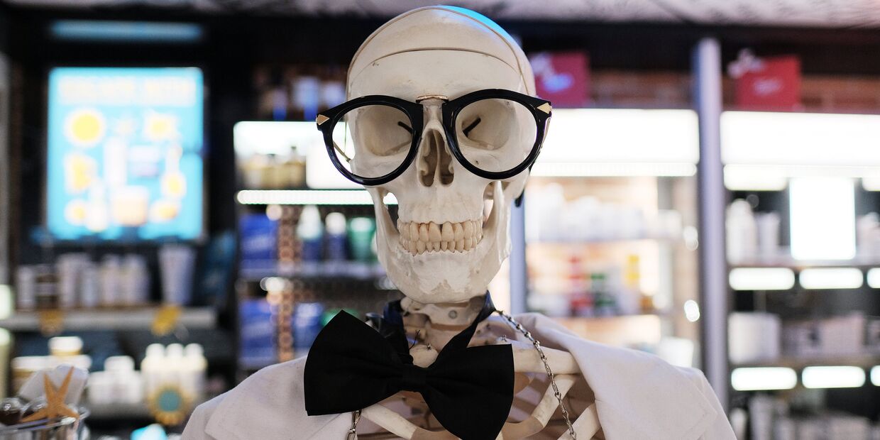 Искусственный скелет человека в магазине