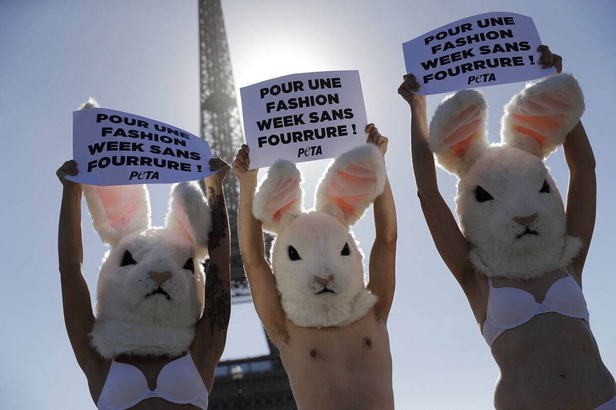 Акция активистов за этическое обращение с животными у Эйфелевой башни в Париже
