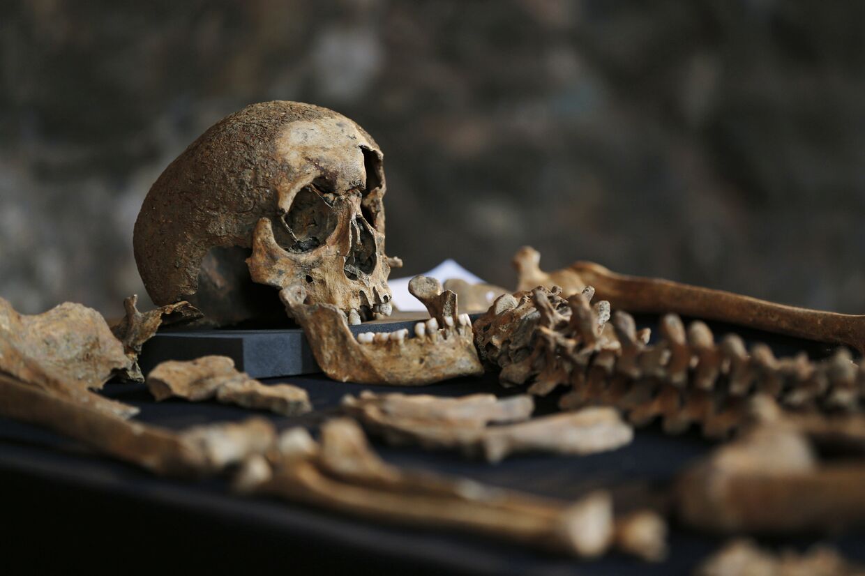 В Лондоне найдены скелеты погибших от чумы в XIV веке