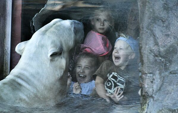 Юные посетители зоопарка наблюдают за белым медведем в Гельзенкирхене, Германия