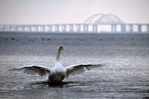 Города России. Керчь Города России. Керчь