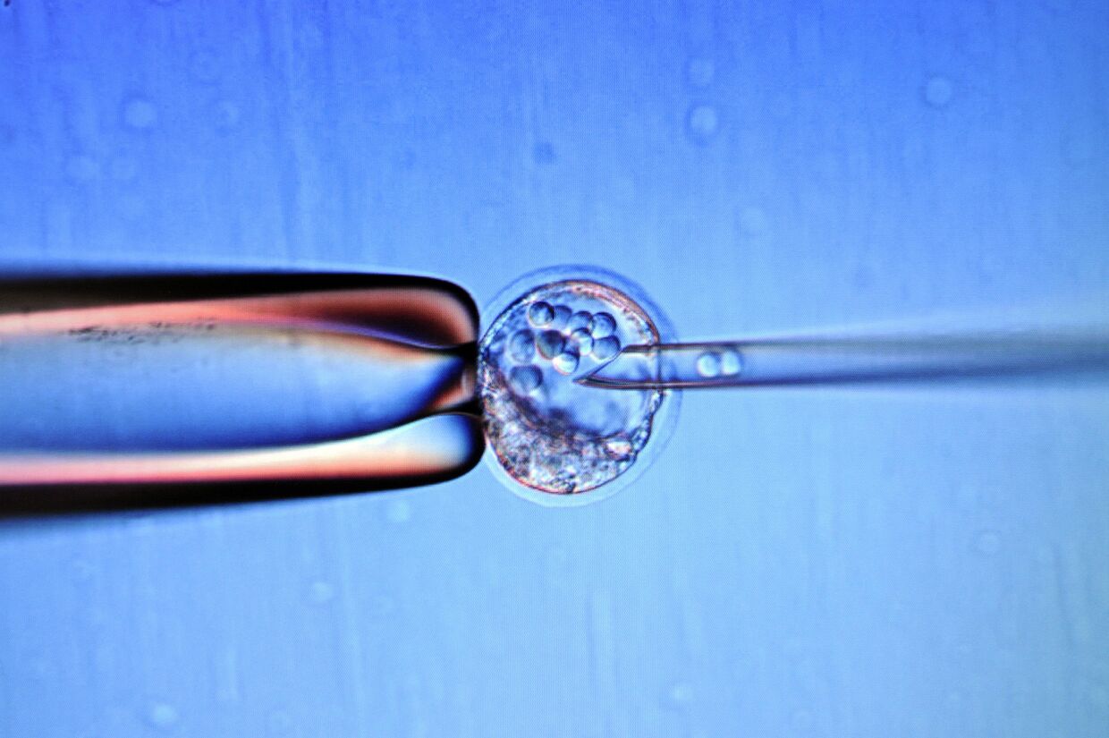 Внедрение инекций в эмбрион в лаборатории в Марселе