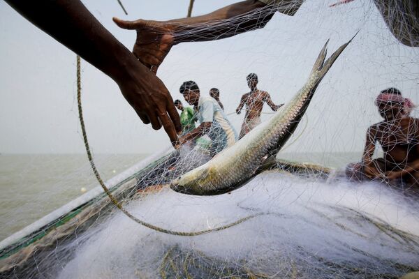 Рыбный промысел у берегов острова Горамара в Индии