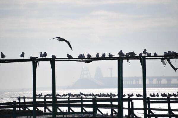 Керченский пролив