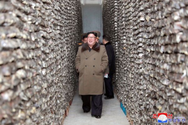 Северокорейский лидер Ким Чен Ын посещает рыбное хозяйство в районе Дунхэ