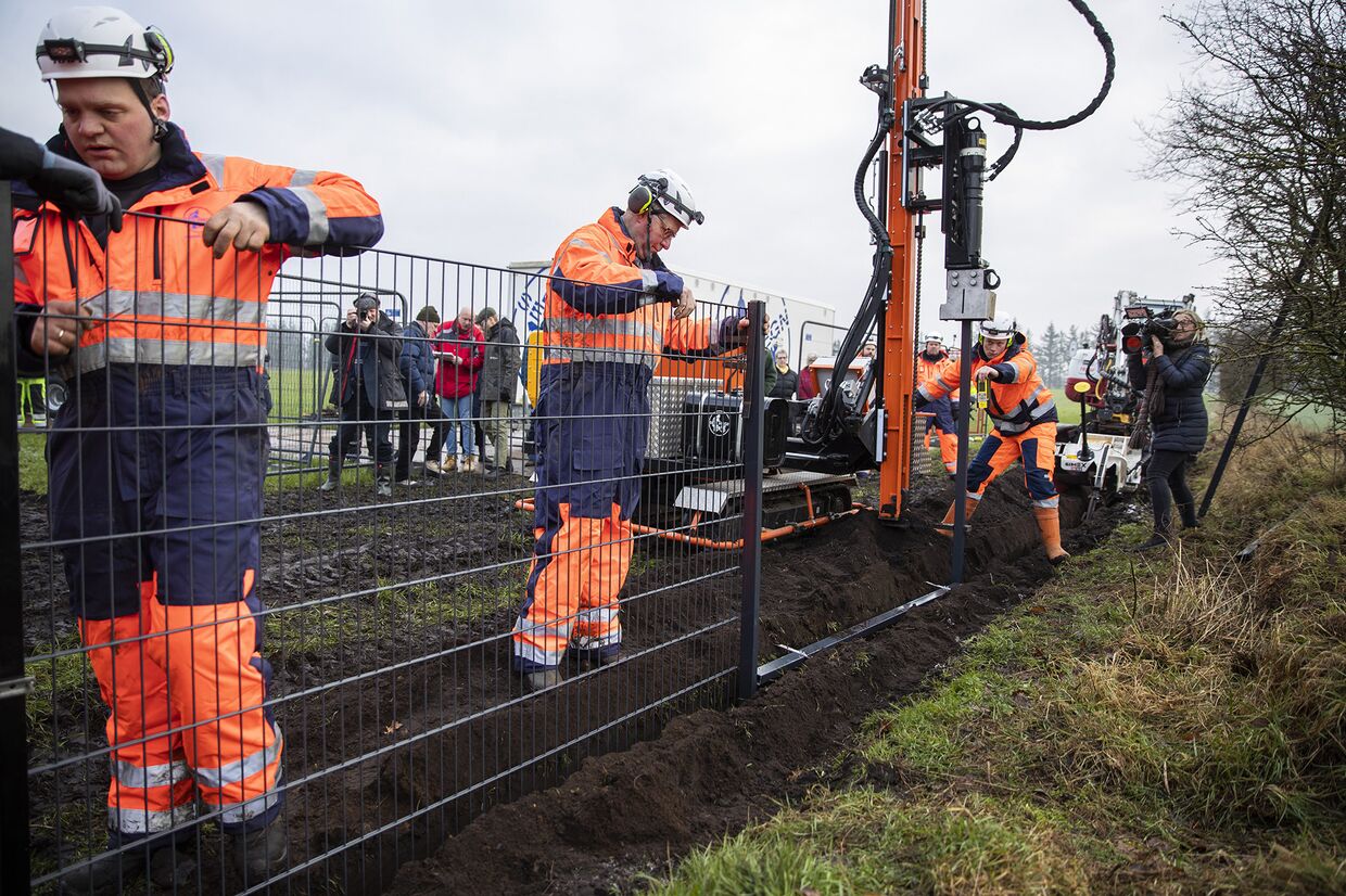 Рабочие установили забор на границе между Данией и Германией в Падборге, чтобы предотвратить пересечение границы дикими кабанами