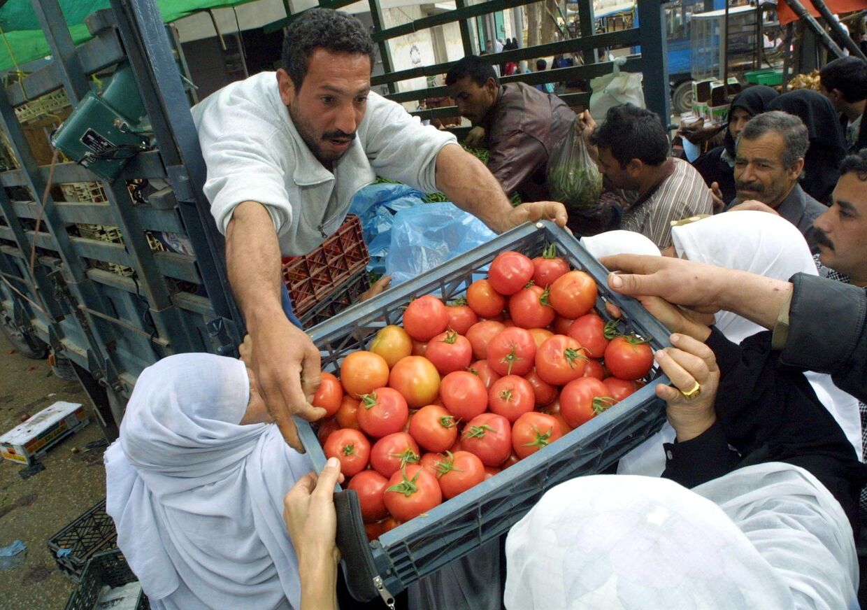 Продажа помидоров на рынке в городе Газа