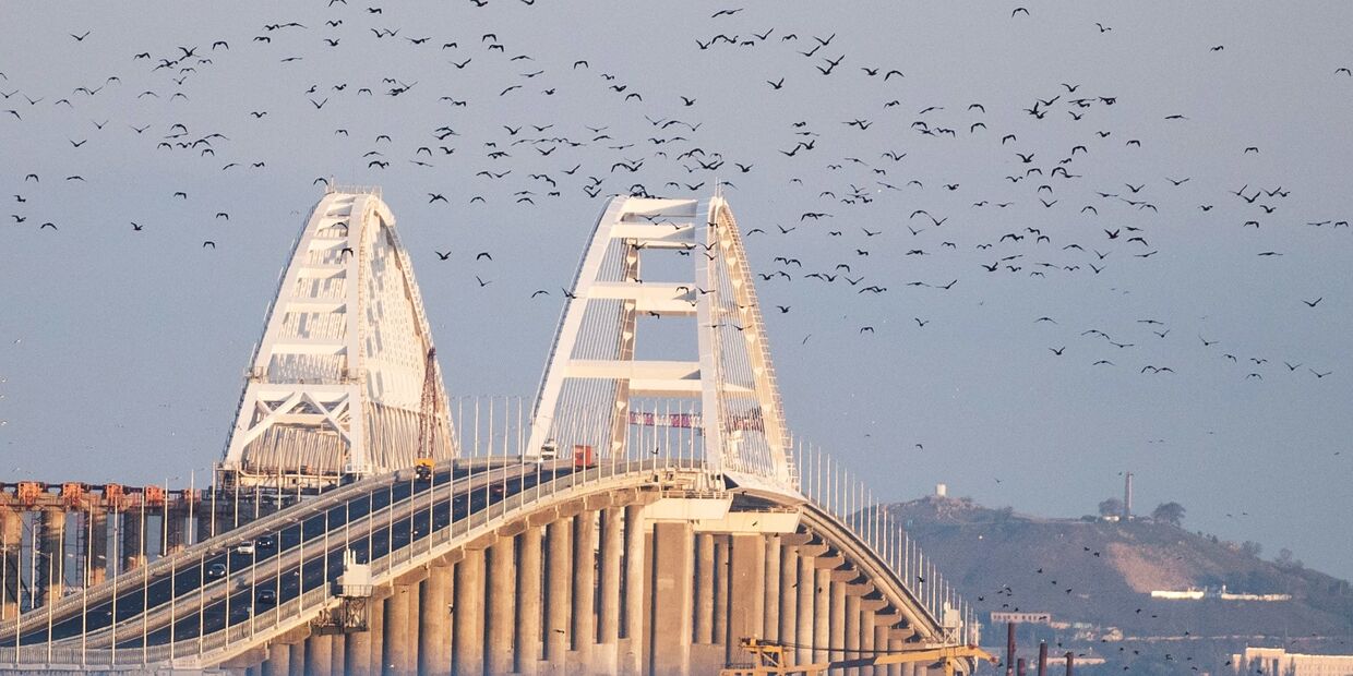 Птицы над Крымским мостом