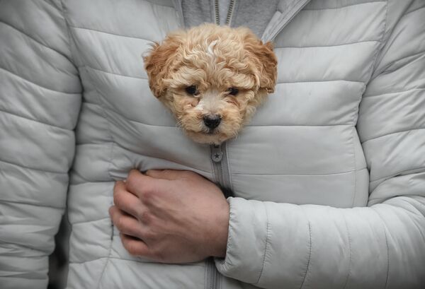 Мужчина держит щенка в теплой куртке
