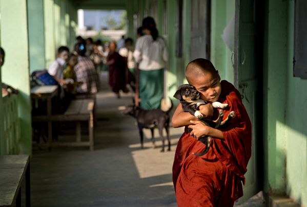 Буддийский монах-послушник со щенком в пригороде Янгона, Мьянма