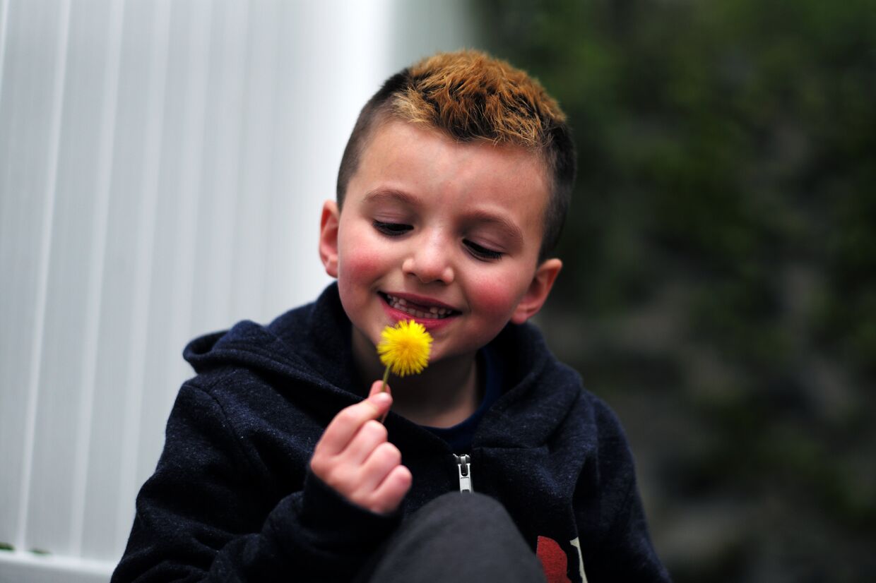 7-летний мальчик-трансгендер Джейкоб Лемей, Мелроуз, Массачусетс, США