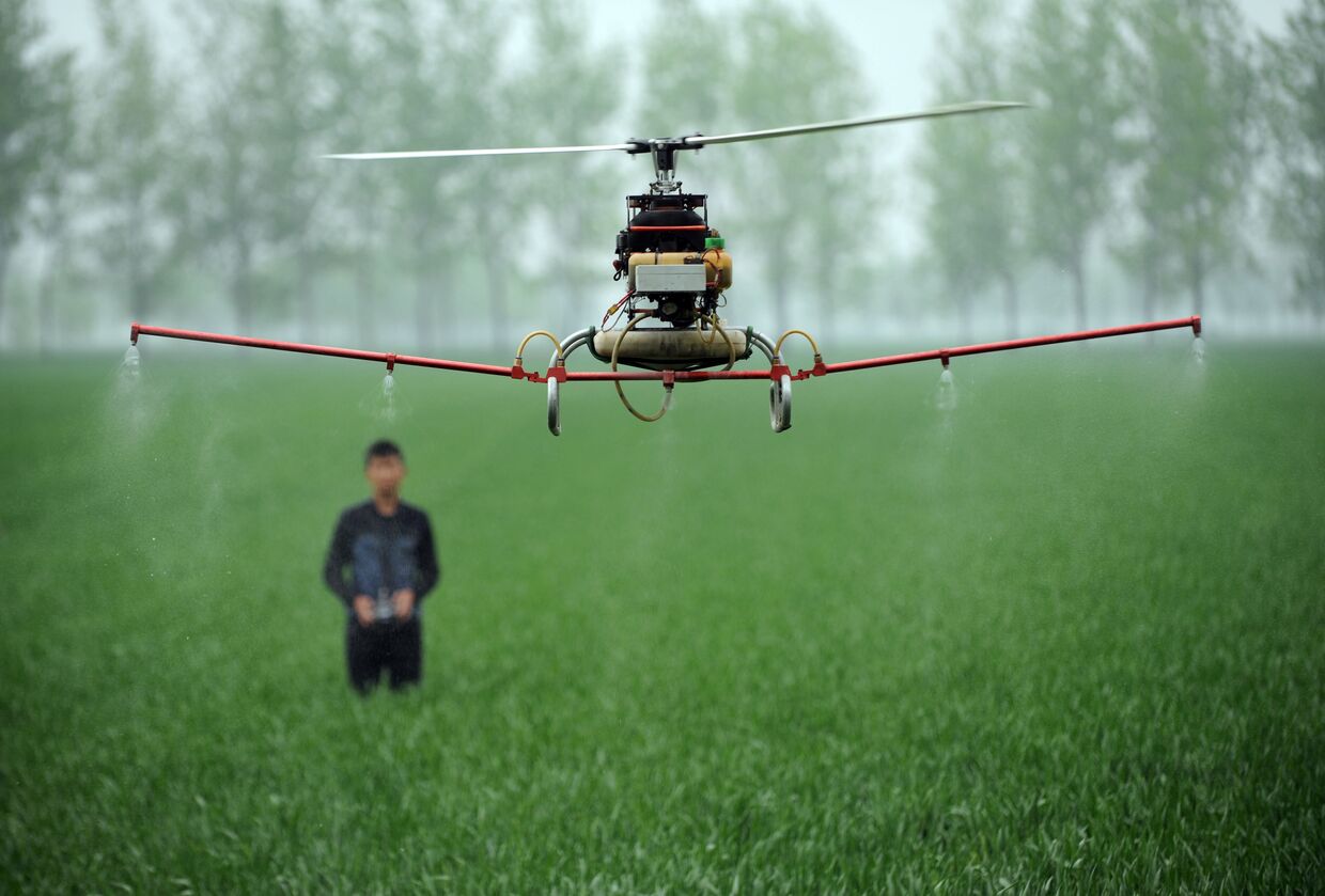 Дрон для распыления пестицидов на ферме в Бочжоу