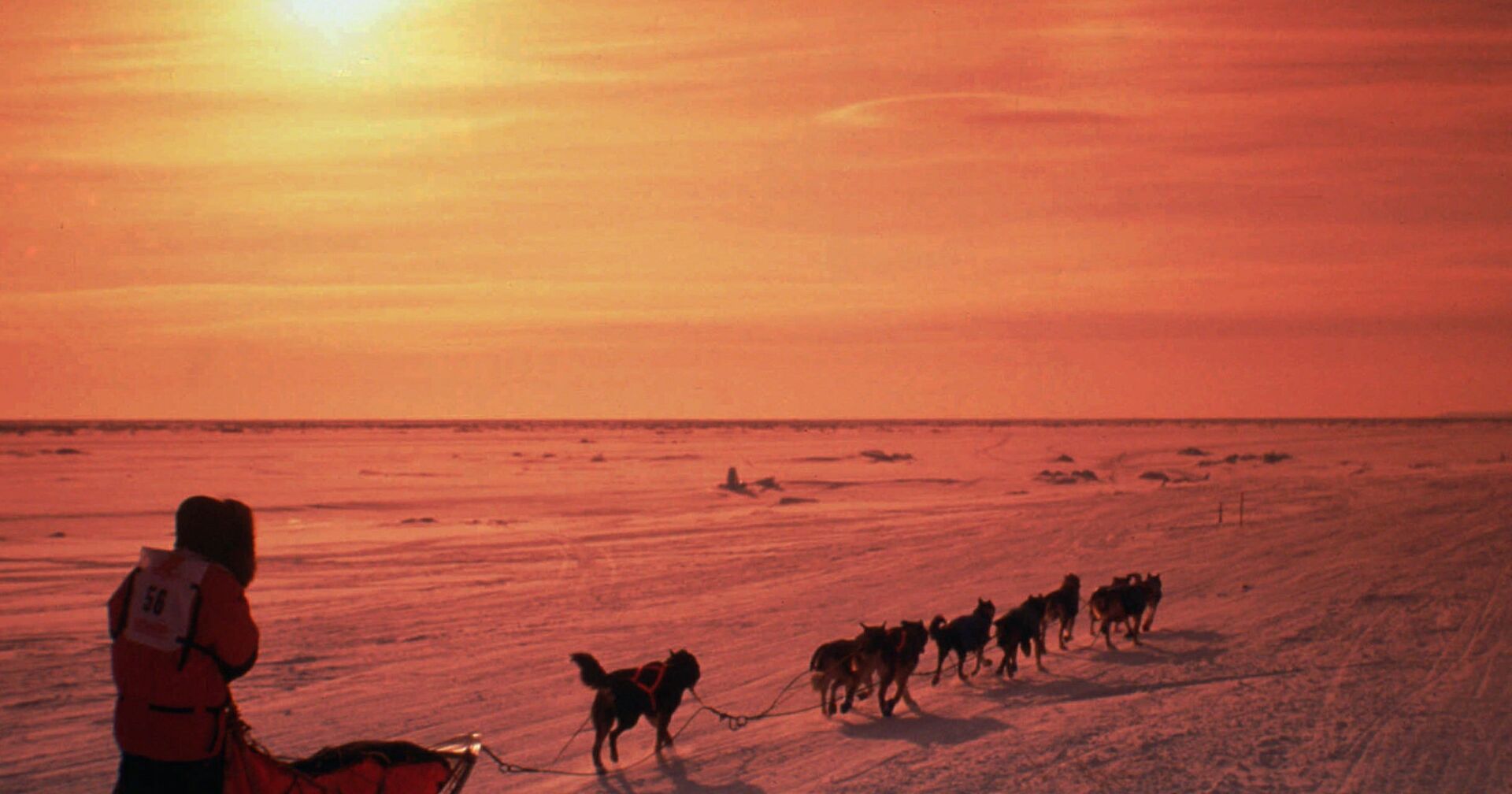 Катание на собачьих упряжках в окрестностях города Ном, Аляска - ИноСМИ, 1920, 27.01.2021