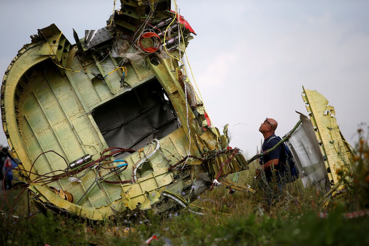 Следователь осматривает место крушения рейса MH17 авиакомпании Malaysia Airlines