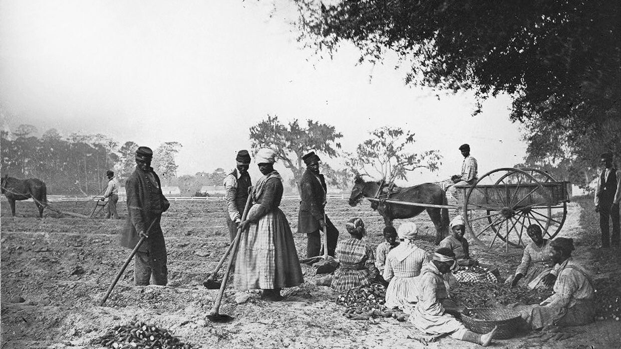 Рабы на плантации Джеймса Хопкинсона