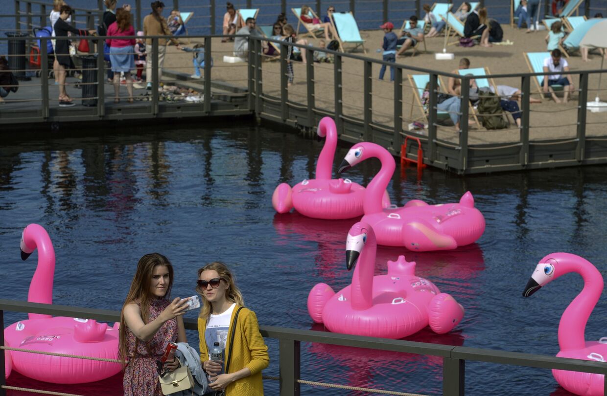 Пляж с розовыми фламинго открылся в Новой Голландии в Санкт-Петербурге