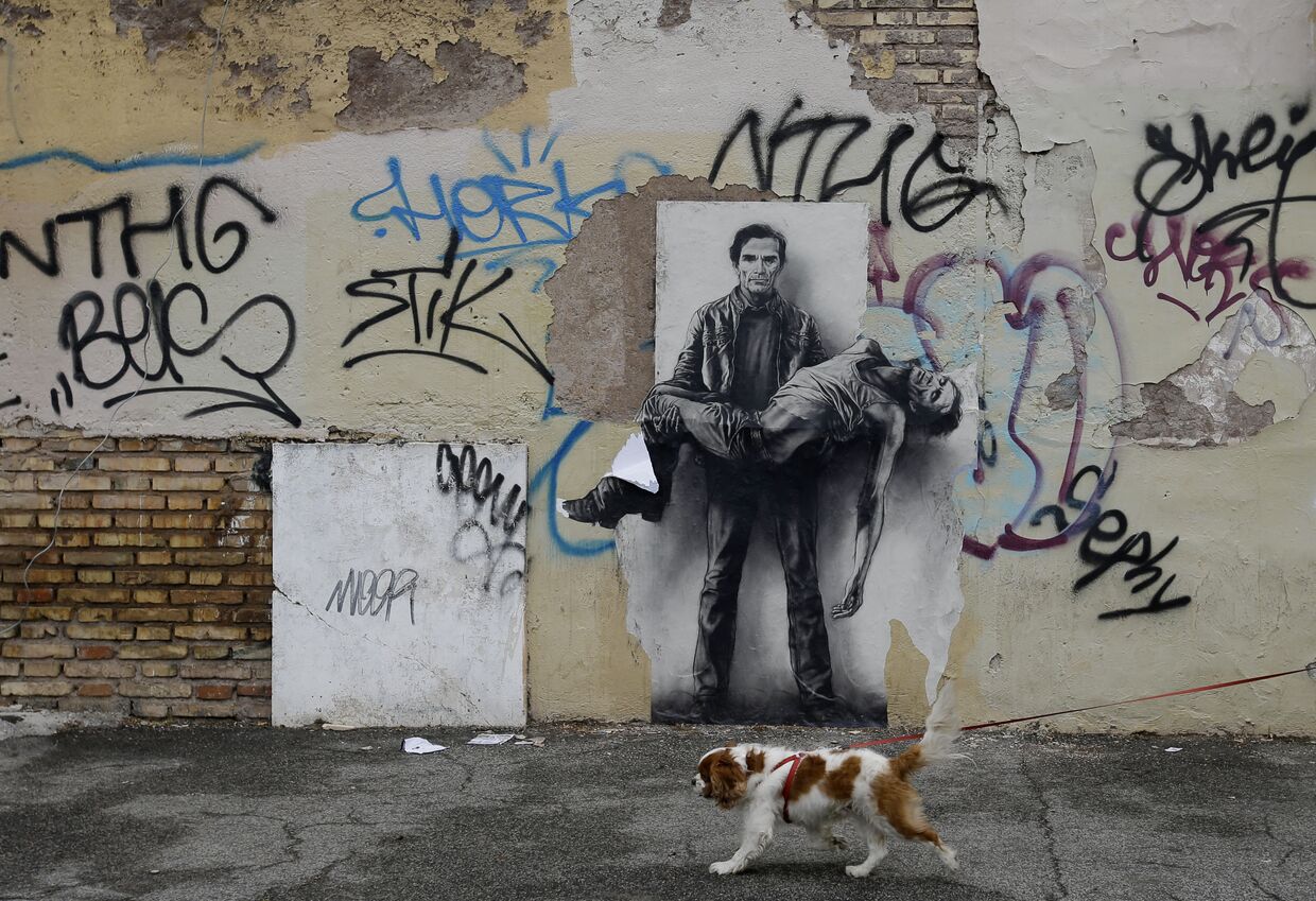 Собака пробегает мимо стены с граффити, окраины Рима, Италия