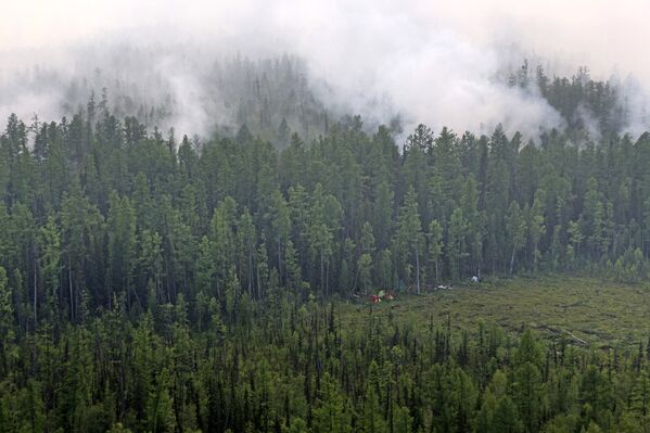 Лесной пожар в Богучанском районе Красноярского края