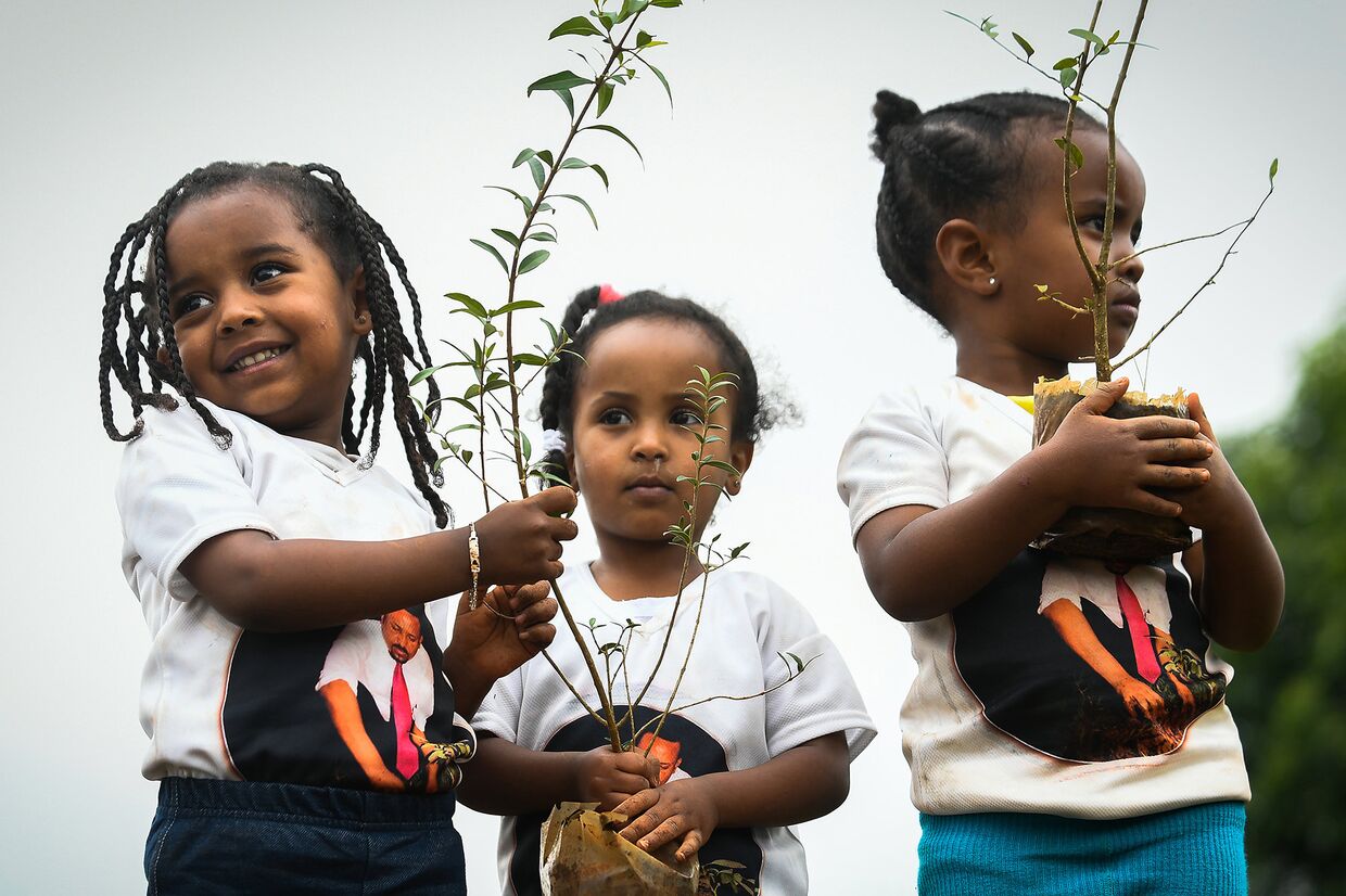Дети принимают участие в мероприятии по посадке деревьев в столице Аддис-Абебе, Эфиопия