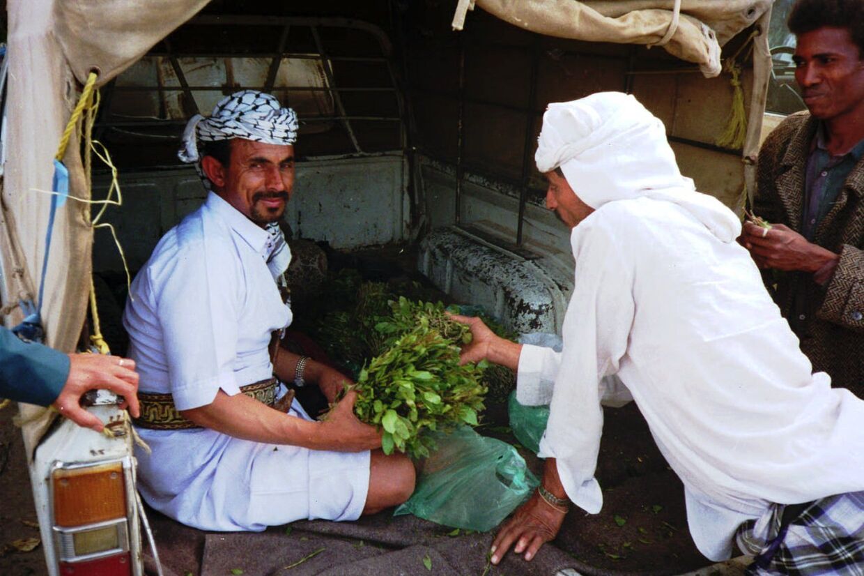 Продажа ката на рынке Сане, Йемен