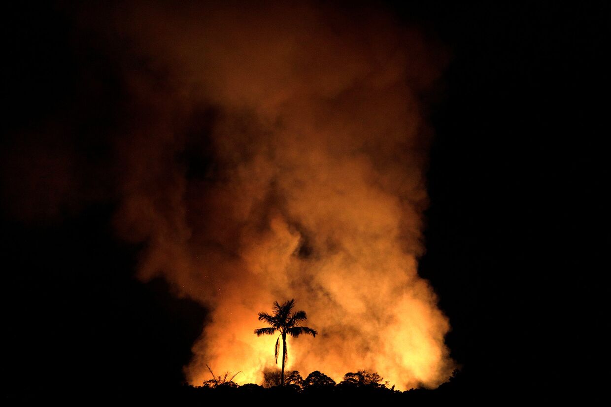 Лесные пожары в Бразилии